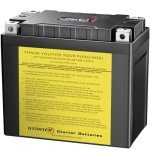 NUDZENI YTX14-BS 12V Lithium Battery for ATVs