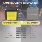 NUDZENI YTX14-BS 12V Lithium Battery for ATVs