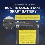 NUDZENI YTX14-BS 12V Lithium Battery for ATVs