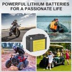 NUDZENI YTX14-BS 12V Lithium Battery for ATVs
