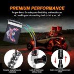 Nilight 2FT RGB LED ATV Whip Lights with Remote