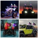 Nilight 2FT RGB LED ATV Whip Lights with Remote