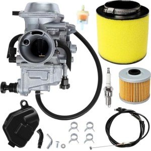Fourtrax 300 Carburetor with Filters and Cables