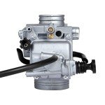 Fourtrax 300 Carburetor with Filters and Cables