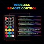 KEMIMOTO LED Whip Lights with Smartphone Control
