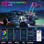 LED Whip Lights with Remote Control - 2 Pack