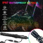 LED Whip Lights with Remote Control - 2 Pack