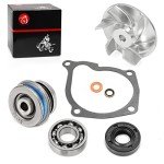 Polaris ATV Water Pump Seal Rebuild Kit