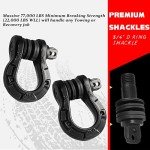 AyA Gear 3/4" D Ring Shackles (2 Pack)