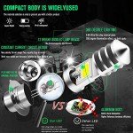 AC/DC 9-48V P15D LED Bulb,1800LM Super Bright H6M ATV LED Headlight Bulbs,4xCOB Chips Hi/Lo Beam Replement for Motorcycle,Yamaha,ATVS YFM350 450 400 660 700 Raptor.2-Pack., Silver