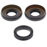 All Balls Differential Seal Kit for ATVs