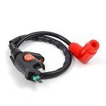 Honda ATV Ignition Coil Pack & Spark Plug Set