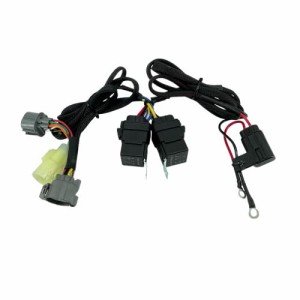 ALTBET Shift Wiring Harness Kit for Honda Rancher
