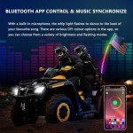 3FT LED Whip Lights with App Remote