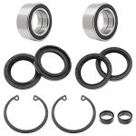 Honda FourTrax 300-420 Front Wheel Bearing Kits