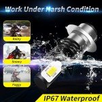 ZEBANERT H6M Motorcycle ATV bulb Fit for Honda TRX 250 300 350 400 450 700 fog light Bulbs, Fit for Yamaha Big Bear 350 Warrior 350 Light Bulbs,H6M/P15D fog light Bulbs, 60W 6000K White, 2-Pack