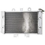 Polaris Predator 500 Radiator - NICHE 1240130