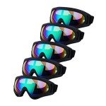 Adjustable Off-Road Goggles - Set of 5