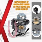 RANSOTO Carburetor for Arctic Cat Prowler 650