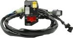 Honda Rancher 350 Handlebar Start/Stop Switch