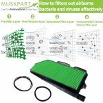 Hon-da Pioneer 1000 Air Filter Replacement Set