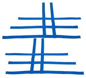 Blue Replacement Nets for Yamaha Raptor Nerf Bars