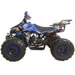 X-PRO 125cc ATV with Automatic Transmission & Reverse