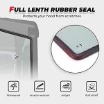 KEMIMOTO UTV Rear Dark Tint Windshield