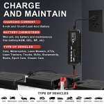 AXTRA Smart 6V/12V Battery Charger & Maintainer