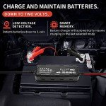 AXTRA Smart 6V/12V Battery Charger & Maintainer