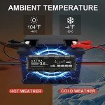 AXTRA Smart 6V/12V Battery Charger & Maintainer