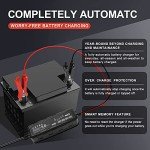 AXTRA Smart 6V/12V Battery Charger & Maintainer