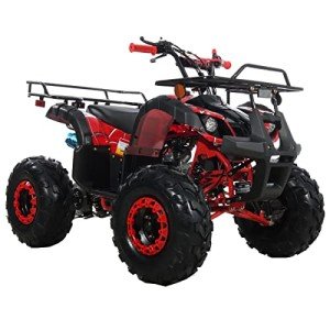 X-PRO 125cc Automatic ATV with Big Tires