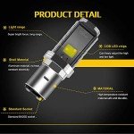 EverBright 2-Pack 900 Lumens BA20D LED Bulbs