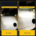 EverBright 2-Pack 900 Lumens BA20D LED Bulbs