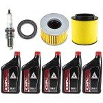Honda TRX500FA/FGA ATV Tune-Up Kit (2001-2004)