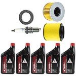 Honda TRX500FA/FGA ATV Tune-Up Kit (2001-2004)