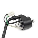 Ignition Coil & Spark Plug Cap for Arctic Cat
