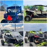 Multicolor LED Whip Lights with Remote Control