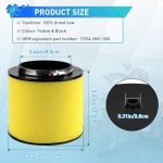 Honda ATV Air Filter Replacement 17254-HN1-000
