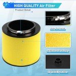 Honda ATV Air Filter Replacement 17254-HN1-000