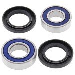 ATV Ball Bearing Set 25–1395