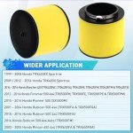 Honda ATV Air Filter Replacement 17254-HN1-000