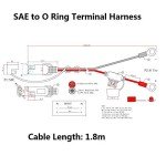 6FT SAE to O Ring Terminal Cable with Fuse