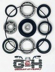 Rear Differential & Axle Bearing Kit for Honda TRX 300