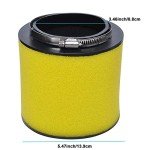 Air Filter for Rincon 650/680 and TRX Models