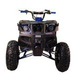 X-PRO 200 Automatic Utility ATV with Reverse