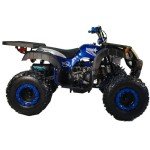 X-PRO 200 Automatic Utility ATV with Reverse