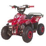 X-PRO 110cc Red ATV Quad 4 Wheeler