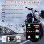 2-Pack 12V Portable Smart Battery Maintainers